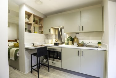 1 bed studio, Lancaster Street, Aston, Birmingham, B47FN - Image 3